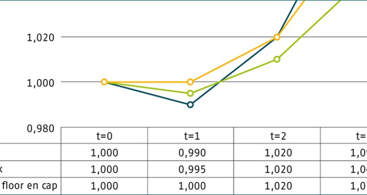 Hedgingstrategieën voor pensioenverzekeringscontracten met inflatie-indexatie